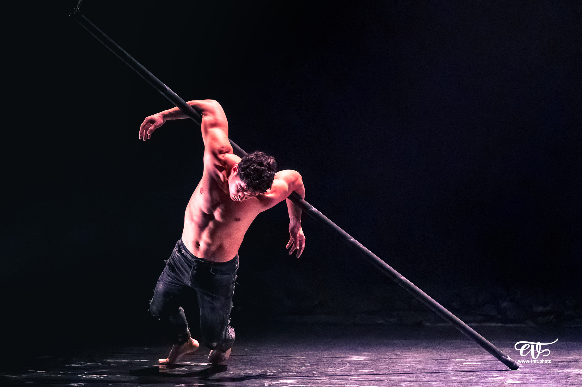 PARADISUM (CIE RECIRQUEL)